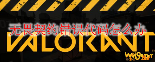 无畏契约错误代码怎么办