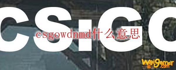 csgowdnmd什么意思