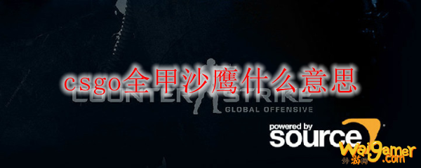 csgo全甲沙鹰什么意思