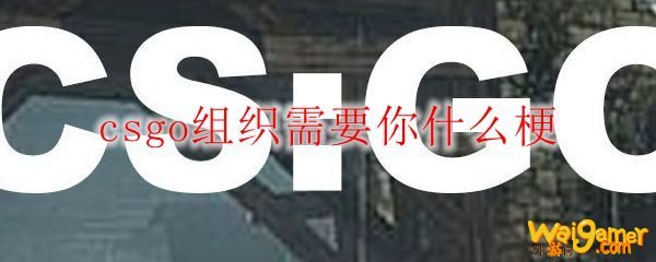 csgo组织需要你什么梗