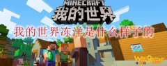 我的世界冻洋是什么样子的