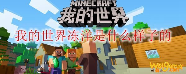 我的世界冻洋是什么样子的