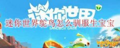 迷你世界鸵鸟怎么驯服生宝宝