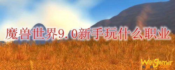 魔兽世界9.0新手玩什么职业好