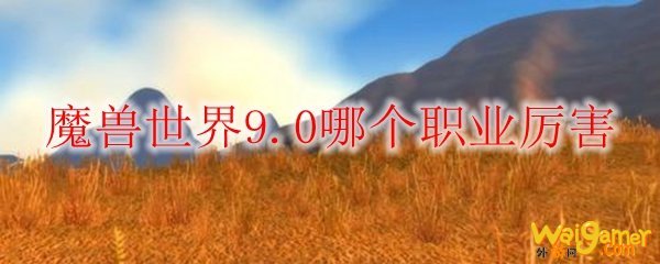 魔兽世界9.0哪个职业厉害