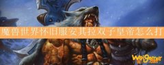 魔兽世界怀旧服安其拉双子皇帝怎么打