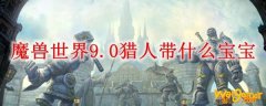 魔兽世界9.0猎人带什么宝宝