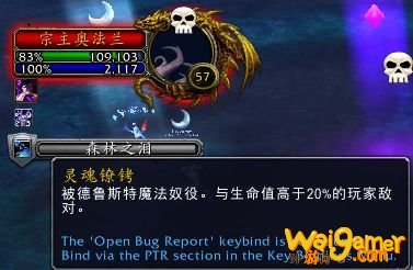 《魔兽世界》塞兹仙林的迷雾全流程攻略