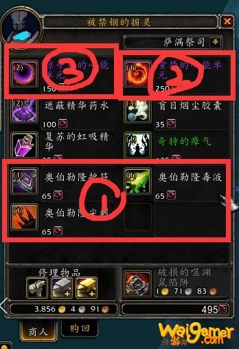 《魔兽世界》元素萨心能之力选择