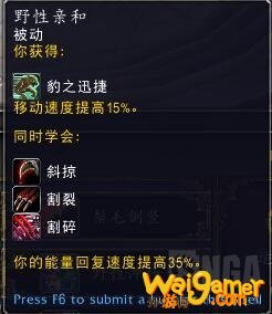 《魔兽世界》9.0熊德天赋选择