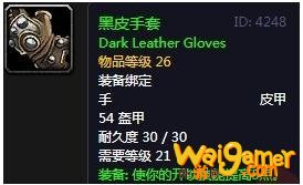 《魔兽世界》怀旧服黑皮手套介绍
