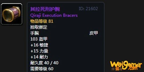 《魔兽世界》怀旧服第五阶段刺杀贼毕业装备大全