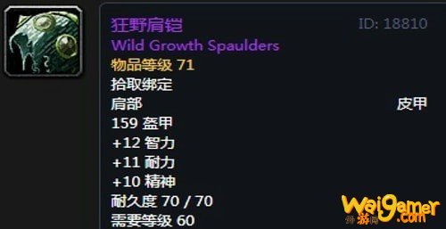 《魔兽世界》怀旧服安其拉骑士毕业装备掉落汇总