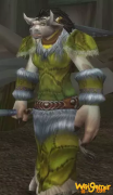《魔兽世界》怀旧服制服供应任务流程攻略