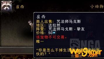 《魔兽世界》9.0新增宠物介绍
