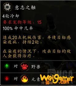 《魔兽世界》9.0新增宠物介绍
