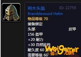 《魔兽世界》怀旧服荆木头盔介绍