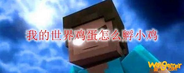 我的世界鸡蛋怎么孵小鸡