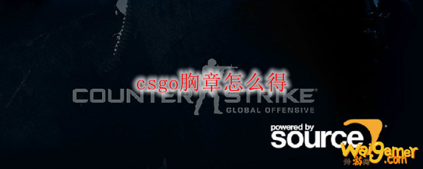 csgo胸章怎么得