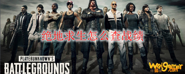绝地求生怎么查战绩