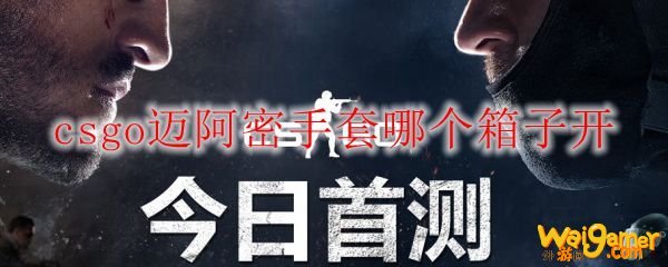 csgo迈阿密手套哪个箱子开