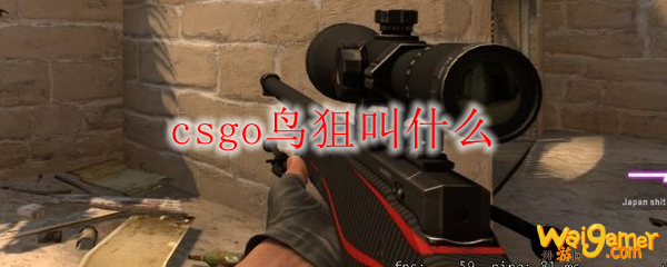 csgo鸟狙叫什么