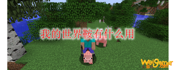 我的世界鞍有什么用