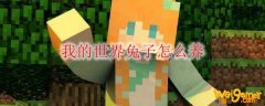 我的世界兔子怎么养