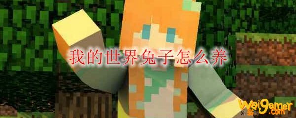 我的世界兔子怎么养