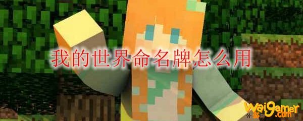 我的世界命名牌怎么用