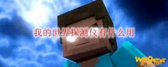 我的世界探测仪有什么用