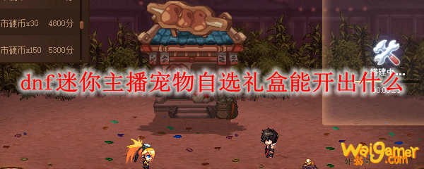 dnf迷你主播宠物自选礼盒能开出什么