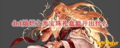 dnf灿烂之光宝珠礼盒能开出什么