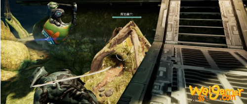 warframe库狛蛋怎么获得