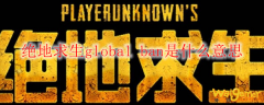 绝地求生global ban是什么意思