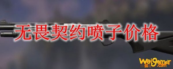 无畏契约喷子价格