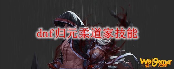 dnf归元柔道家技能