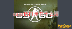 csgo诱饵弹有什么用