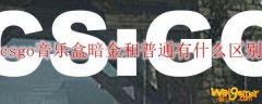 csgo音乐盒暗金和普通有什么区别