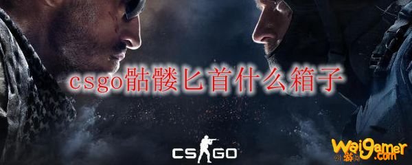 csgo骷髅匕首什么箱子
