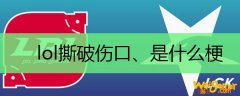 lol撕破伤口、是什么梗