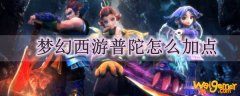 梦幻西游普陀怎么加点