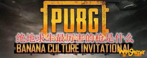绝地求生最厉害的枪是什么