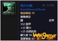 《魔兽世界》怀旧服荆木长靴介绍