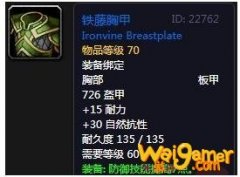 《魔兽世界》怀旧服铁藤胸甲介绍