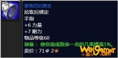 《魔兽世界》怀旧服麦格尼的意志属性介绍