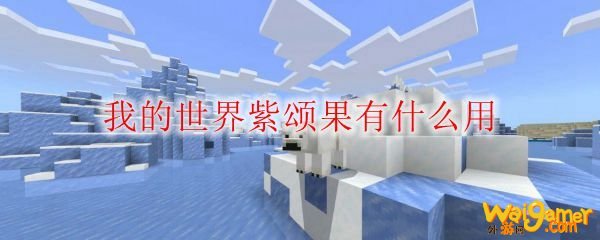 我的世界紫颂果有什么用