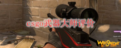 csgo武器大师评价