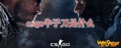 csgo牛子刀是什么