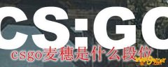 csgo麦穗是什么段位